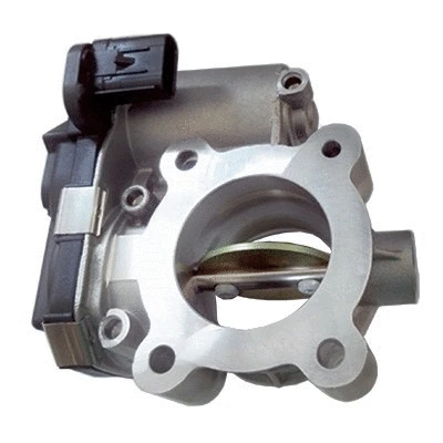 Throttle Body (89281)