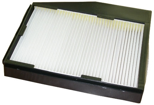 Filter, cabin air (17100F)