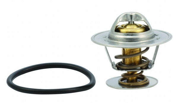 Thermostat, coolant (92505)