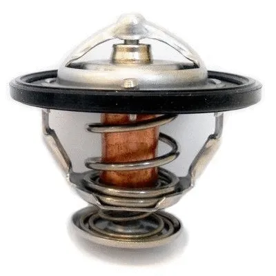 Thermostat, coolant (92123)