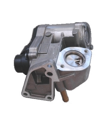 EGR Valve (88114)