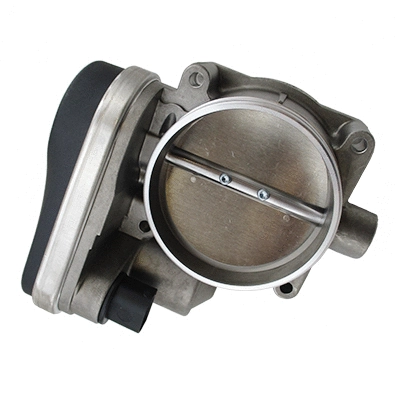 Throttle Body (89502)