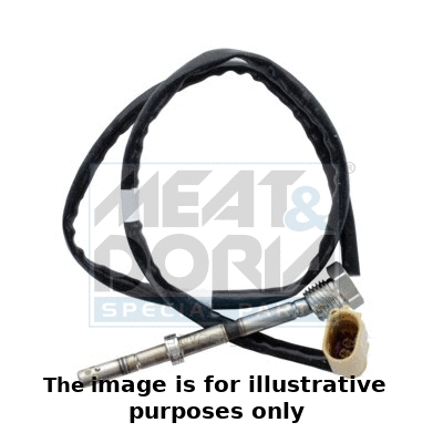 Sensor, exhaust gas temperature (12307E)