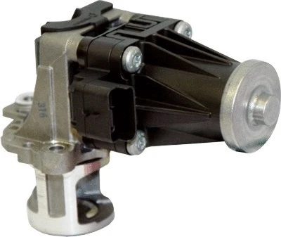 EGR Valve (88216)