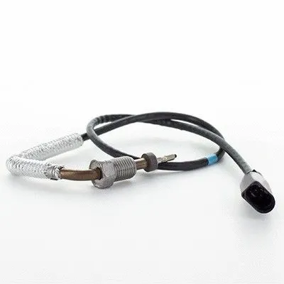 Sensor, exhaust gas temperature (12383)
