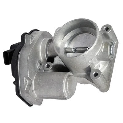 Throttle Body (89202)