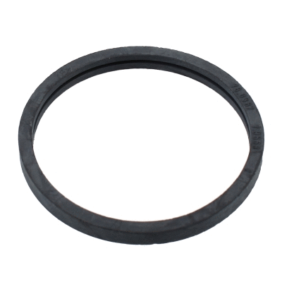 Seal, thermostat (016102)