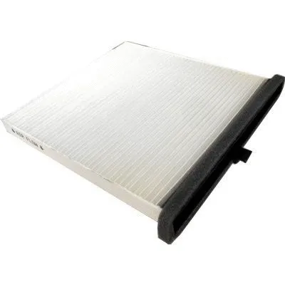 Filter, cabin air (17552F)