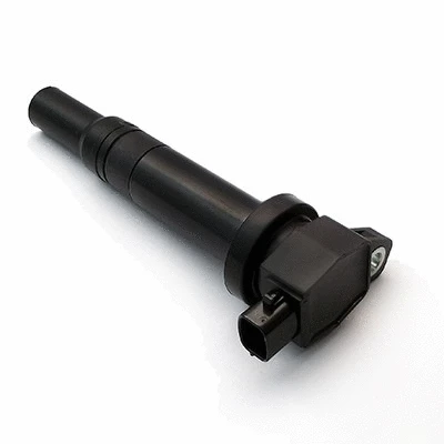 Ignition Coil (10623)