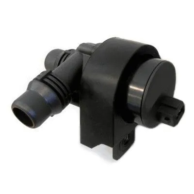 Auxiliary Water Pump (cooling water circuit) (20020)