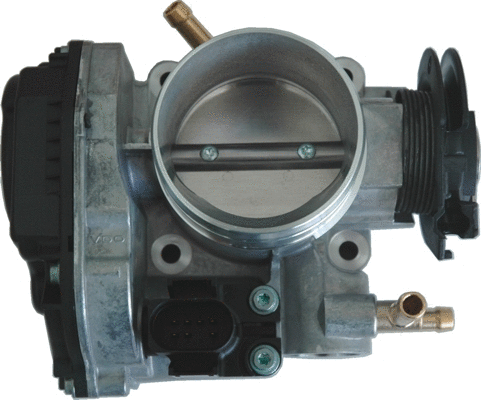 Throttle Body (89011)