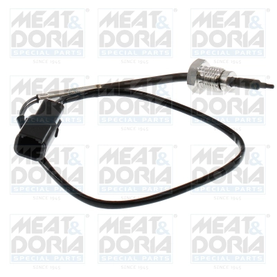 Sensor, exhaust gas temperature (12746)