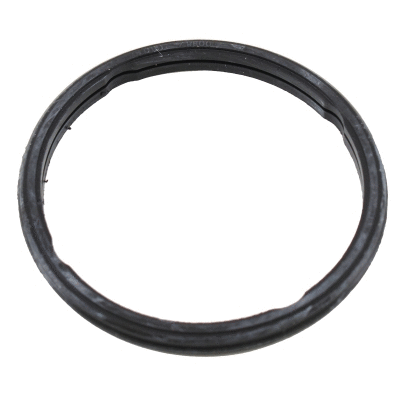 Seal, thermostat (01693)