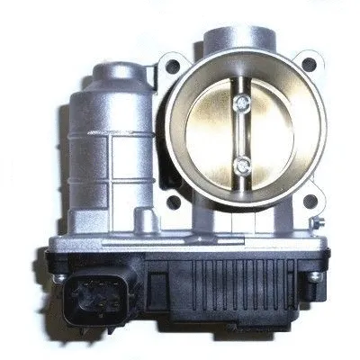 Throttle Body (89191)