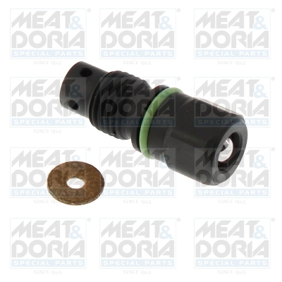 Valve, injection system (98686)