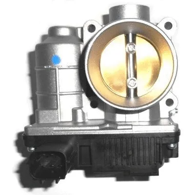 Throttle Body (89192)