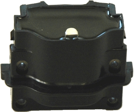 Ignition Coil (10539)