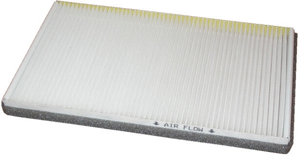 Filter, cabin air (17119)