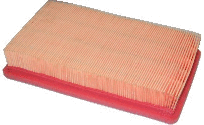 Air Filter (18036)