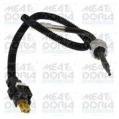 Sensor, exhaust gas temperature (12843)