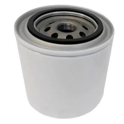 Fuel Filter (4286/1)