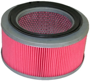 Air Filter (16516)