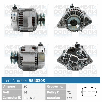 Alternator (5540303)