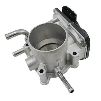 Throttle Body (89321)