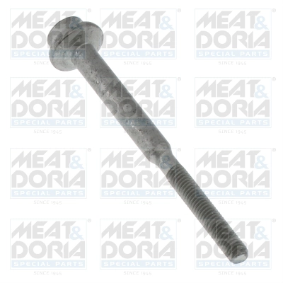 Screw Plug (98825)