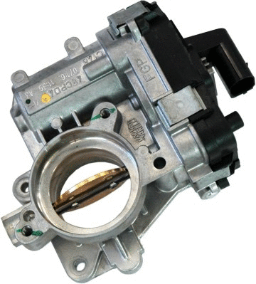 Throttle Body (89106)