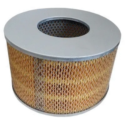 Air Filter (18080)