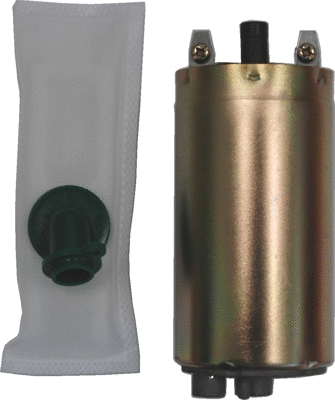 Fuel Pump (76534)