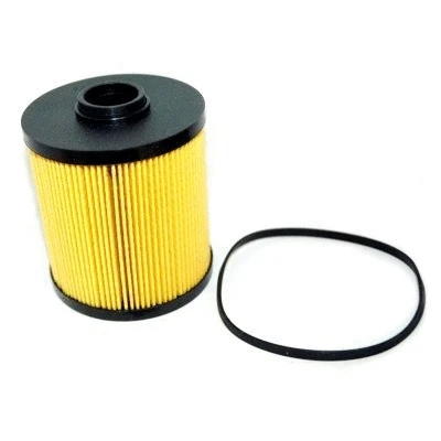 Fuel Filter (4300)