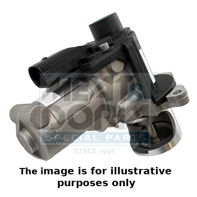 EGR Valve (88055R)