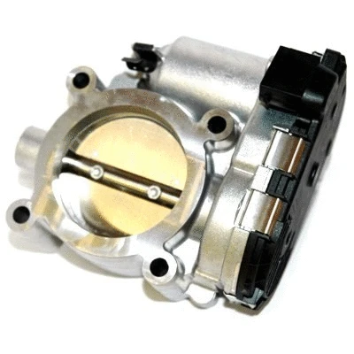 Throttle Body (89159)