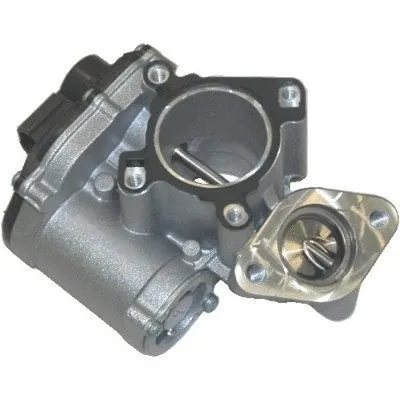 EGR Valve (88110R)
