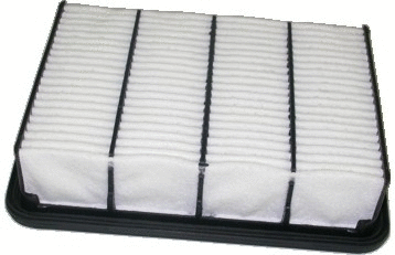 Air Filter (16829)