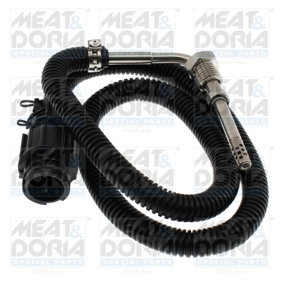 Sensor, exhaust gas temperature (12755)