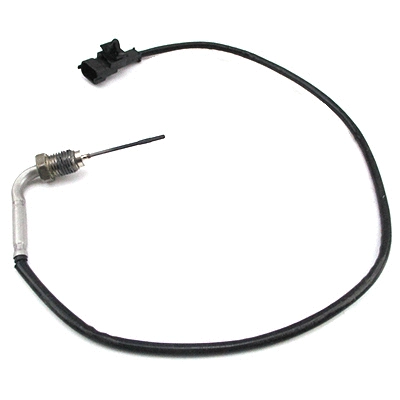 Sensor, exhaust gas temperature (12461)