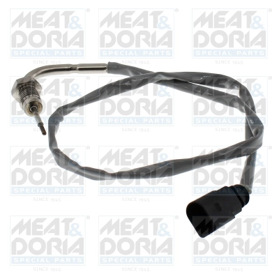 Sensor, exhaust gas temperature (12781)