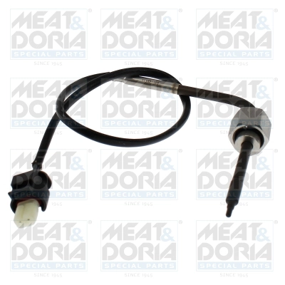 Sensor, exhaust gas temperature (12656)