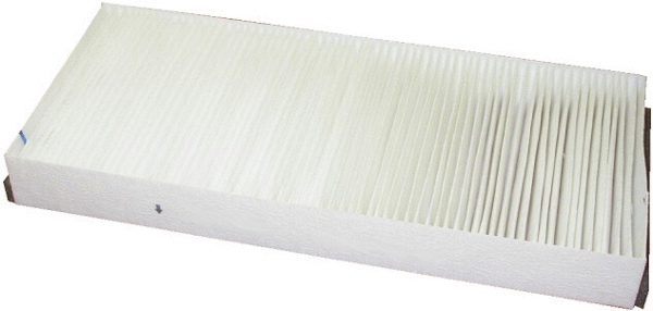 Filter, cabin air (17202)