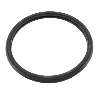 Seal, thermostat (01684)