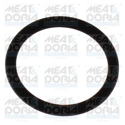 Seal Ring (98805)