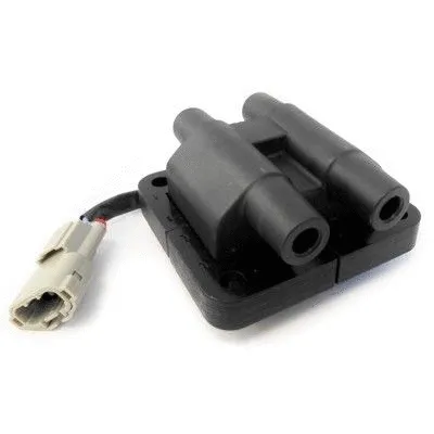 Ignition Coil (10385)