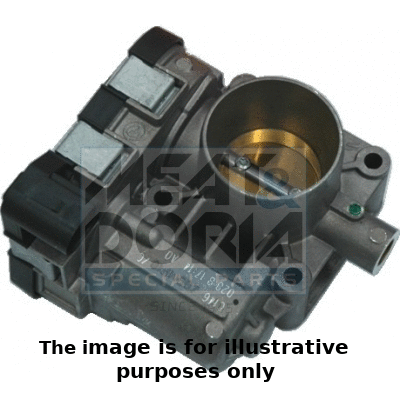 Throttle Body (89060R)