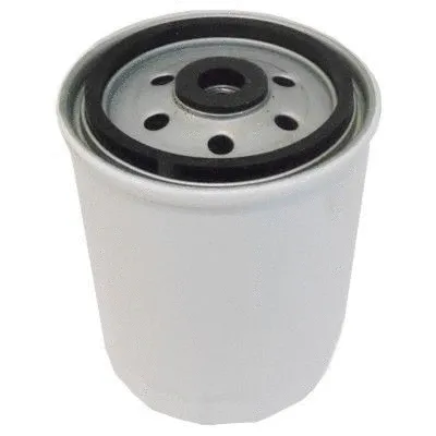 Fuel Filter (4129)