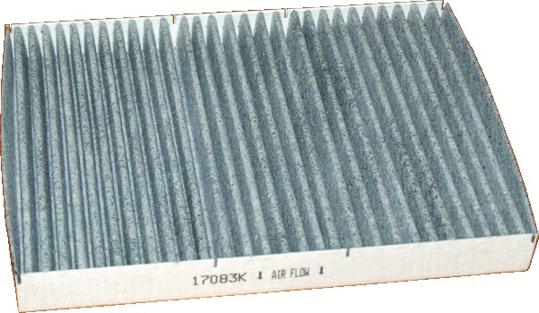 Filter, cabin air (17083K)