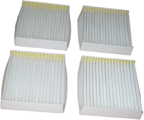 Filter, cabin air (17052-X4)