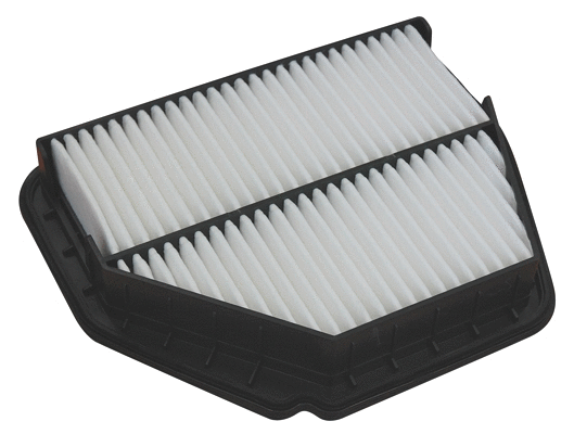 Air Filter (18363)